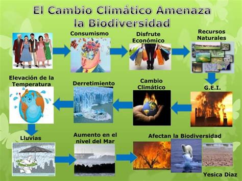 Cambio Climático Afecta La Biodiversidad Venezolana