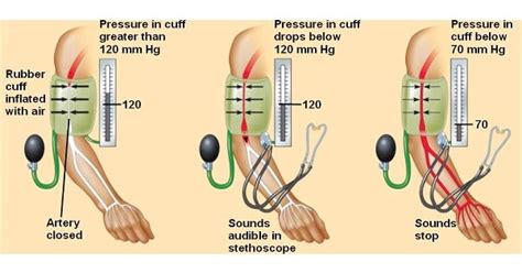 Measurement Of Blood Pressure