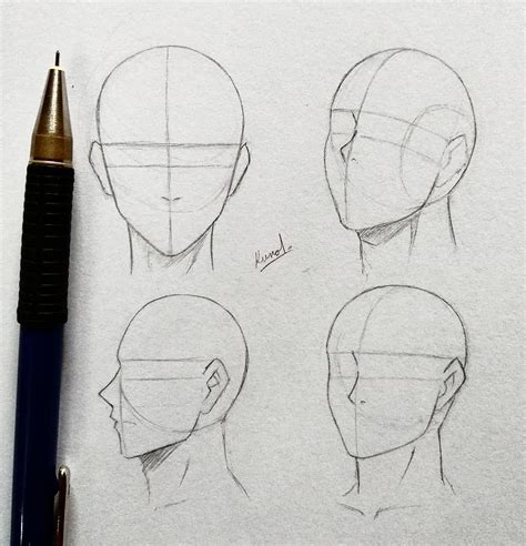 Anime Male Face Anatomy