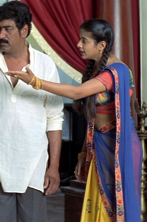 Priyamani Yamadonga Telugu Ntr Hot Saree Hd Caps Starcelebblog