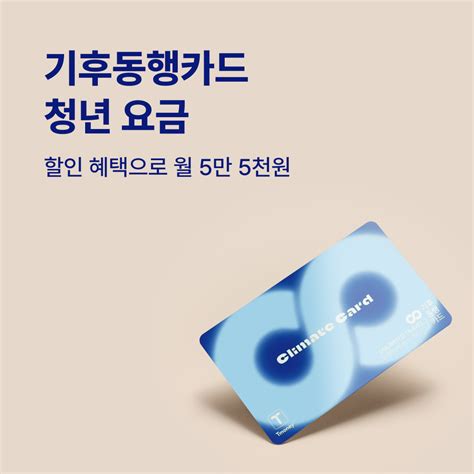 기후동행카드 청년 요금 월 5만 5천원 확정 웰로