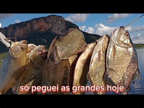 Muito Peixe Nessa Pescaria Desbravando O A Ude Cachoeira De Caiaque