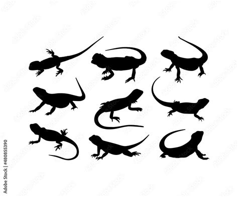 Bearded Dragon silhouette, Bearded Dragon svg, Bearded Dragon Vector ...