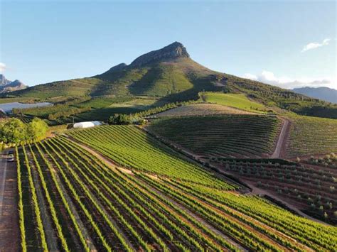 Wein Tour Paarl FranschHoek Stellenbosch GetYourGuide