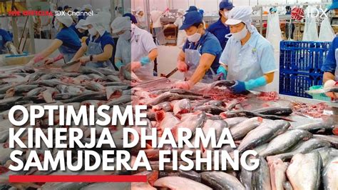 Optimisme Kinerja Dharma Samudera Fishing Idx Channel Youtube