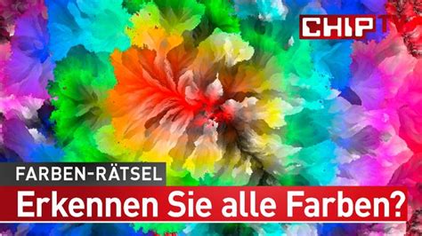 Wie Mischt Man Lila Anleitung Zum Mischen Der Farbe Focus De