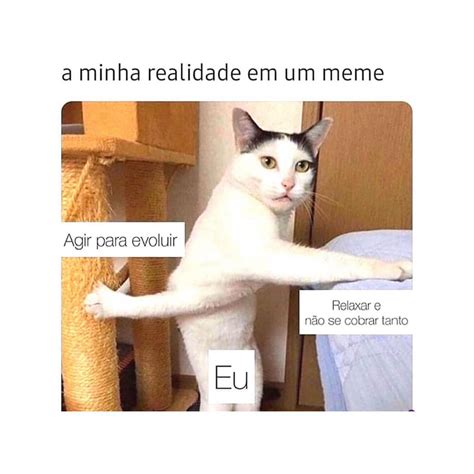 A Minha Realidade Em Um Meme Agir Para Evoluir Relaxar E N O Se