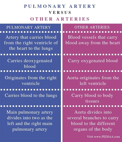 What Is The Difference Between Pulmonary Artery And Other Arteries