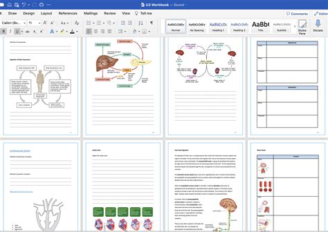 Btec L3 Health And Social Care Unit 3 Anatomy And Physiology For Health And Social Care