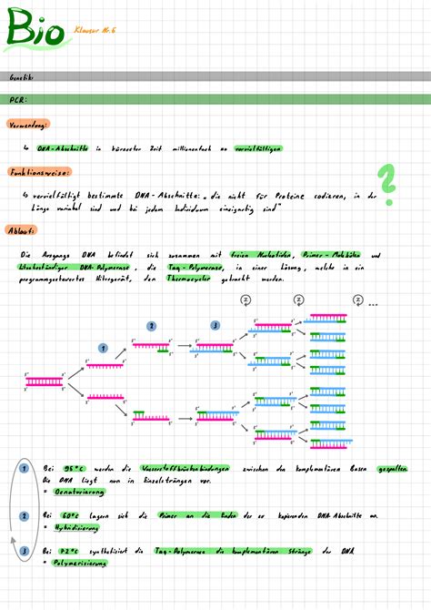 Bio Klausur Genetik Lernzettel Biologie Studocu