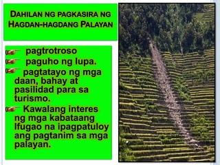 Hagdang hagdang palayan