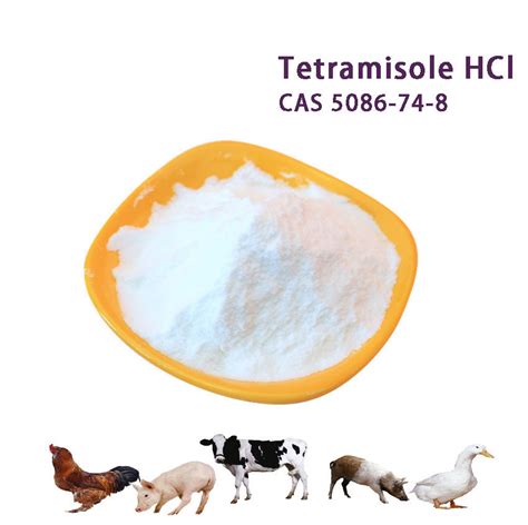 High Purity Veterinary Drug Raw Material Tetramisole Hydrochloride