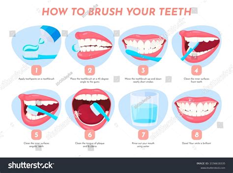 How Properly Brush Your Teeth Step Stock Vector Royalty Off