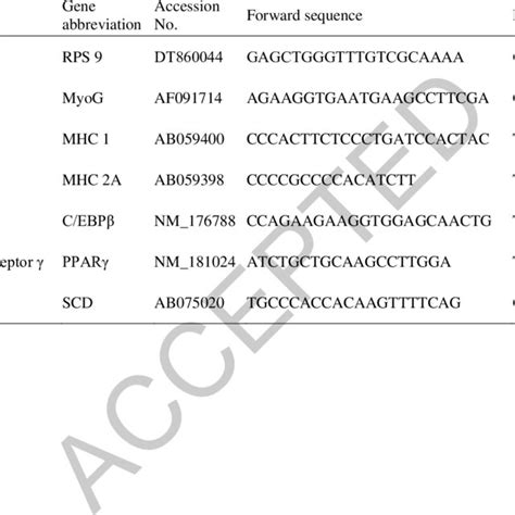 Primers For Genes Analyzed By Real Time Quantitative Polymerase Chain