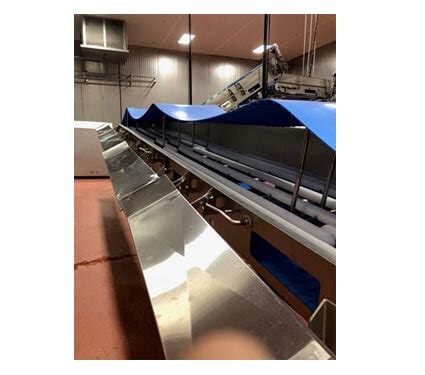 Hygienic Conveyor Food Equipment West Coast Cryogenic Services