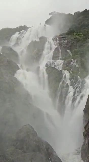 Waterfalls come alive in Western Ghats - Public TV English