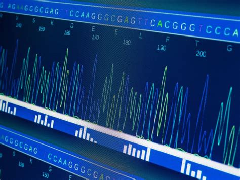 Sequencing A Single Library On Different Platforms