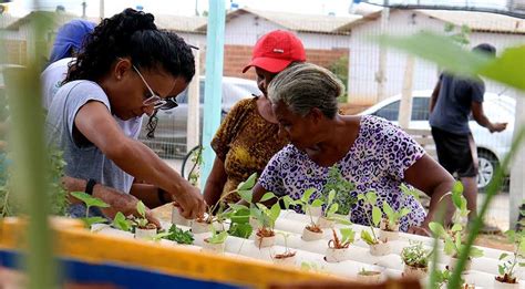 Sustentabilidade Programas De Gera O De Renda Especiais