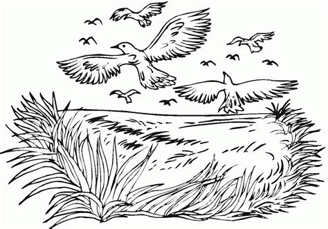 Crows Flock Coloring Page ColouringPages