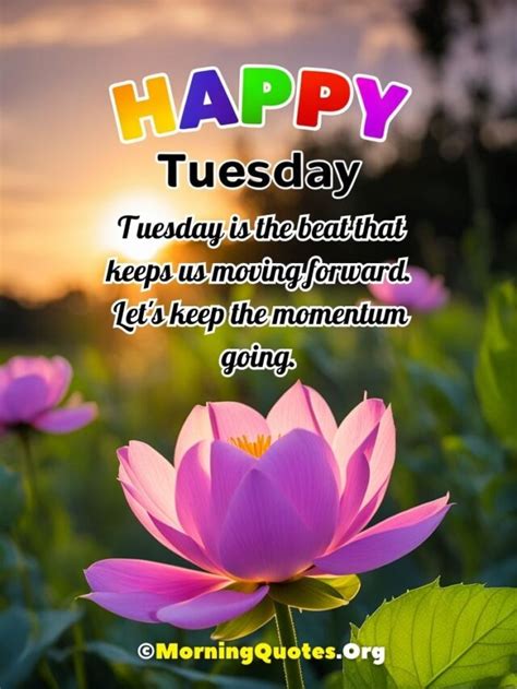 Happy Tuesday Quotes For Work And Positivity Read Now