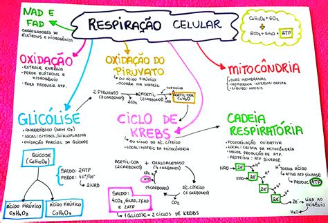 Mapa Mental Sobre Respira O Celular Maps Study