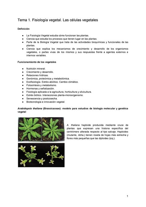 Tema 1 Apuntes 1 Tema 1 Fisiología vegetal Las células vegetales