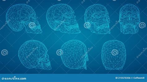 Vectorial Set Of Human Skulls Stock Vector Illustration Of Group