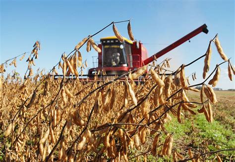 Lower Brazilian Crop Production Estimates Expected Brownfield Ag News