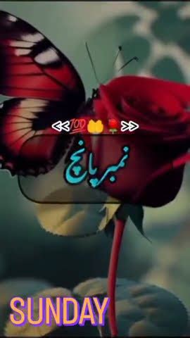 Jabardasti Sex Video Na Karen YouTube