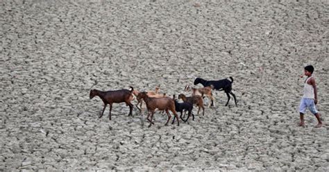 Maharashtra Cm Fadnavis Tells Pm Modi 28000 Villages Hit By Drought