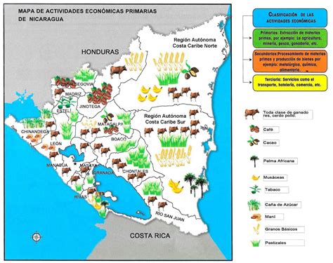 Cuál Es El Mapa De Las Actividades Económicas De Nicaragua Brainly Lat