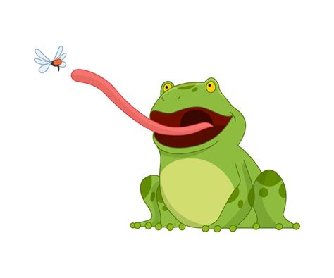 Premium Vector Cartoon Frogs Funny Cartoon Frog Little Amphibia