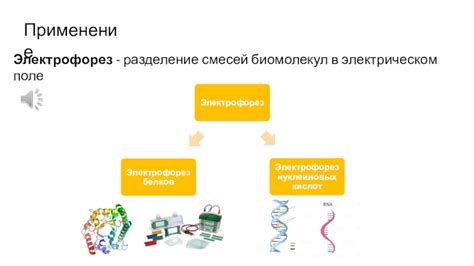 Гель-электрофорез презентация, доклад