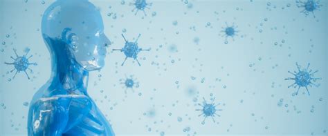 Immunbooster stärke jetzt dein Immunsystem für deine Gesundheit