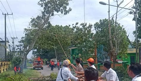 Hujan Disertai Angin Kencang BPBD Kobar Imbau Masyarakat Selalu Waspada