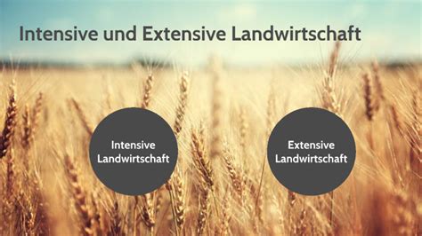 Intensive und Extensive Landwirtschaft by Alexander Zöller