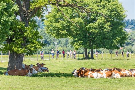 Ko Modellregionen Erster Biotag In Der Komodellregion