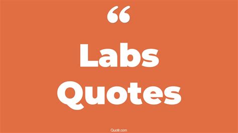 Delightful Labs Quotes Science Lab Black Lab Computer Lab