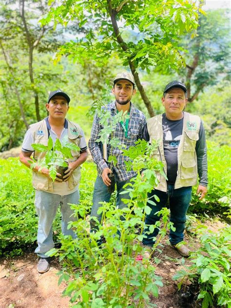 Educación Ambiental Y Reforestación En áreas Protegidas