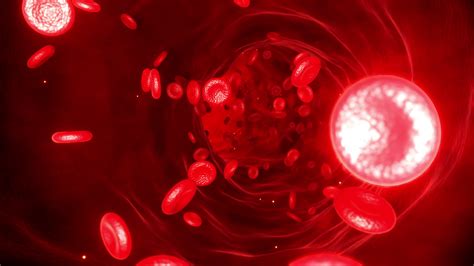 Red Blood Cells Moving In The Blood Stream In An Artery 3d Rendering