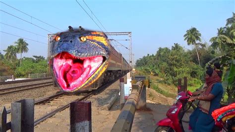 Dangerous Anger Anaconda Headed Jan Shatabdi Express Furiously Passing