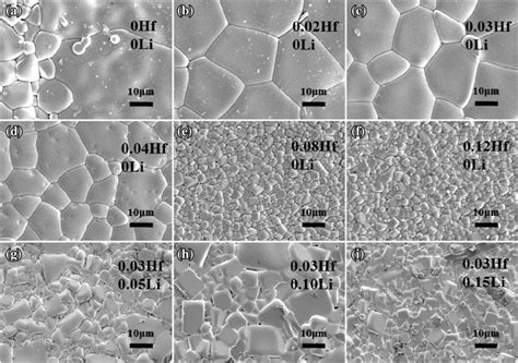 Sem Images Of Surface Micrographs Of The Ceramics With Different Li