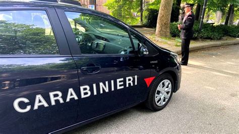 Topi D Appartamento Colti In Flagrante Dai Carabinieri Nel Bolognese