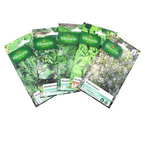 Pack De Sachets Graines Aromatiques Thym Oseille Persil