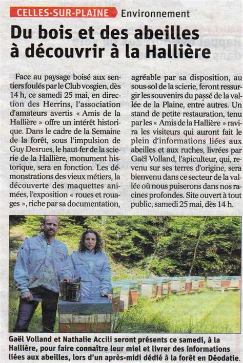 Du Bois Et Des Abeilles D Couvrir La Halli Re Miels Et Saveurs