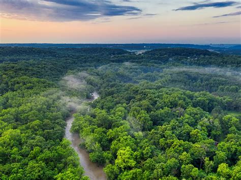 Il 26% della foresta amazzonica è perduto per sempre, dice un rapporto ...