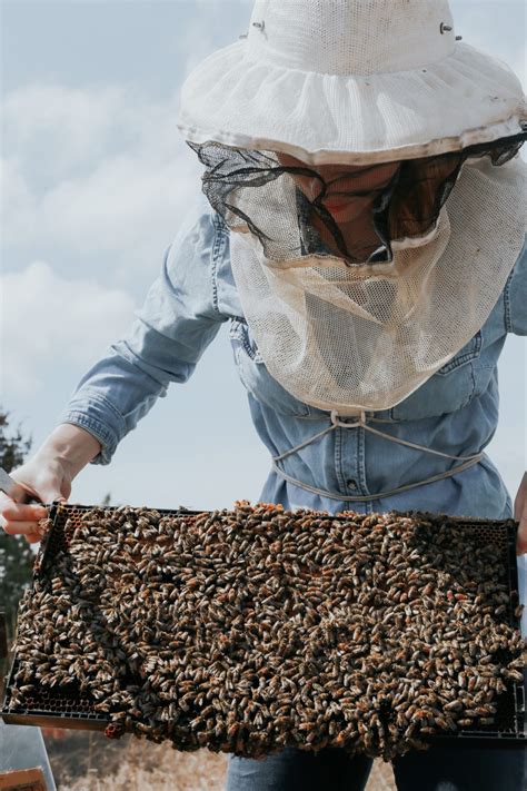 Erika Thompson Queen Bee Of Social Medias Beekeeping And Bee Removals