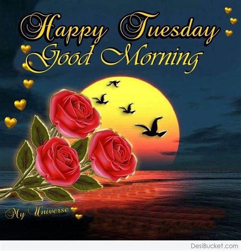 Good Morning Wishes On Tuesday Pictures Images