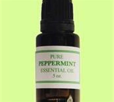 Uses For Peppermint Oil Just A Pinch Recipes