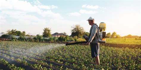 Controle Biol Gico Import Ncia Para A Agricultura